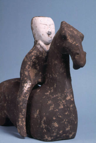Horse and rider