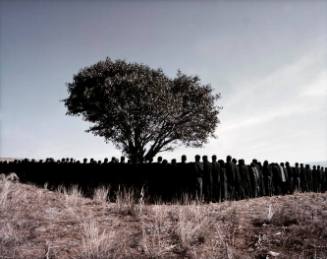 Photo:  Larry Barns
Courtesy Gladstone Gallery