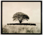 Photo:  Larry Barns
Courtesy Gladstone Gallery