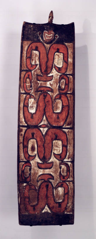 Asmat shield