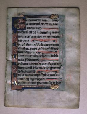 Leaf from a Psalter