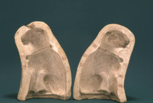 Molds for a cat