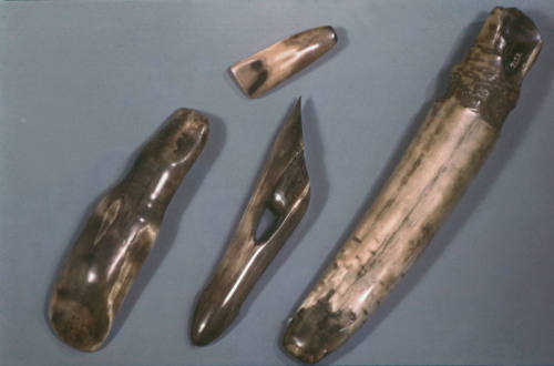 Harpoon spear point holder