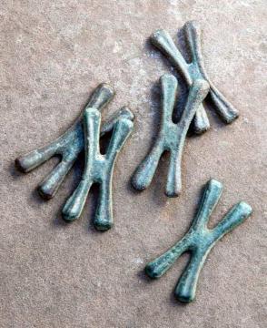 Copper Currency, (H type)
