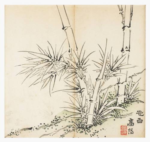 Bamboo in hillside