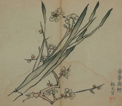 Narcissus and cherry blossoms