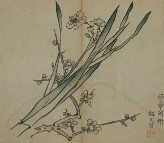 Narcissus and cherry blossoms