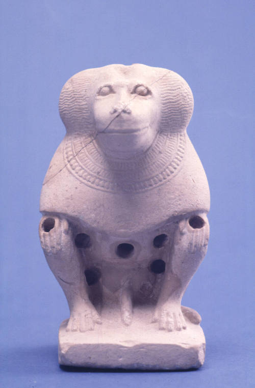 Seated baboon
