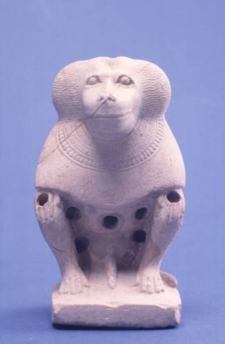 Seated baboon