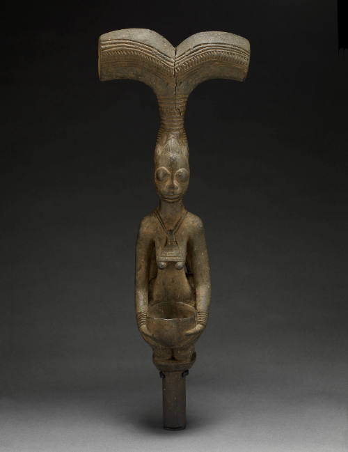 Photo: Susan A. Cole