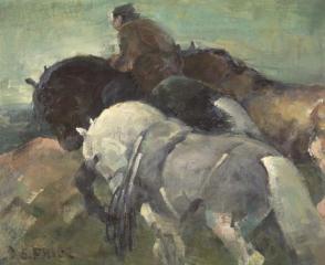 Horses