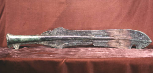 Pike head