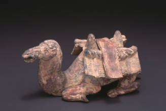Camel with pack