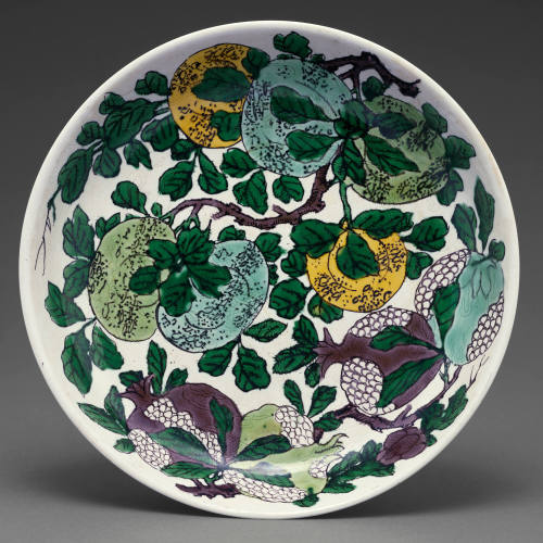 Dish