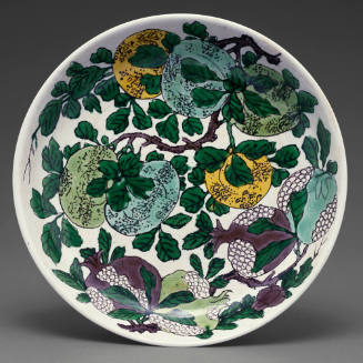 Dish