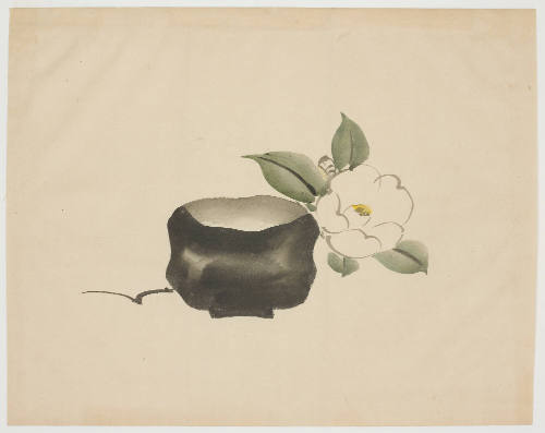 Raku Tea Bowl and White Camellia