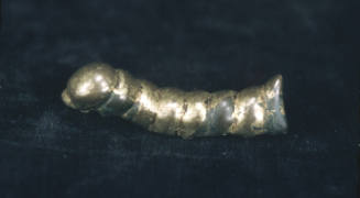 Silk Worm