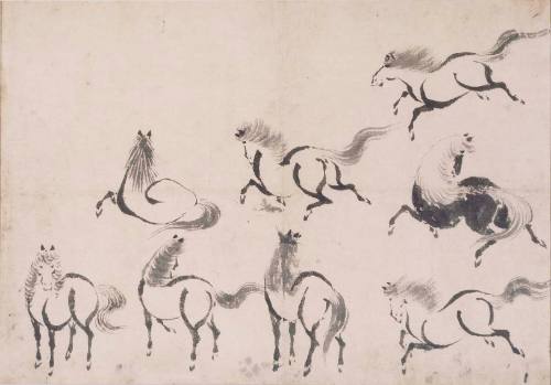 Studies of Horses