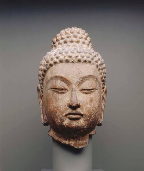 Head of a Buddha