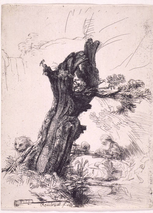 Saint Jerome Beside a Pollard Willow