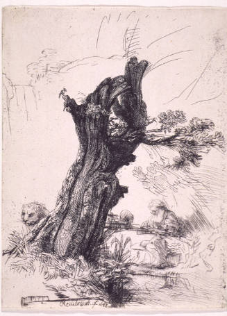Saint Jerome Beside a Pollard Willow