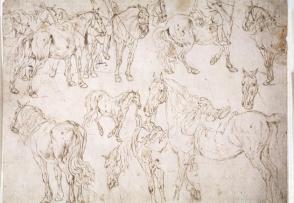 Studies of Horses