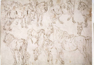 Studies of Horses