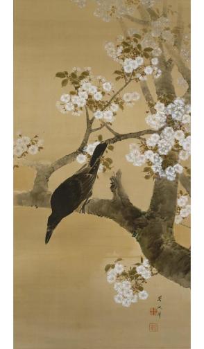 Crow amid Cherry Blossoms