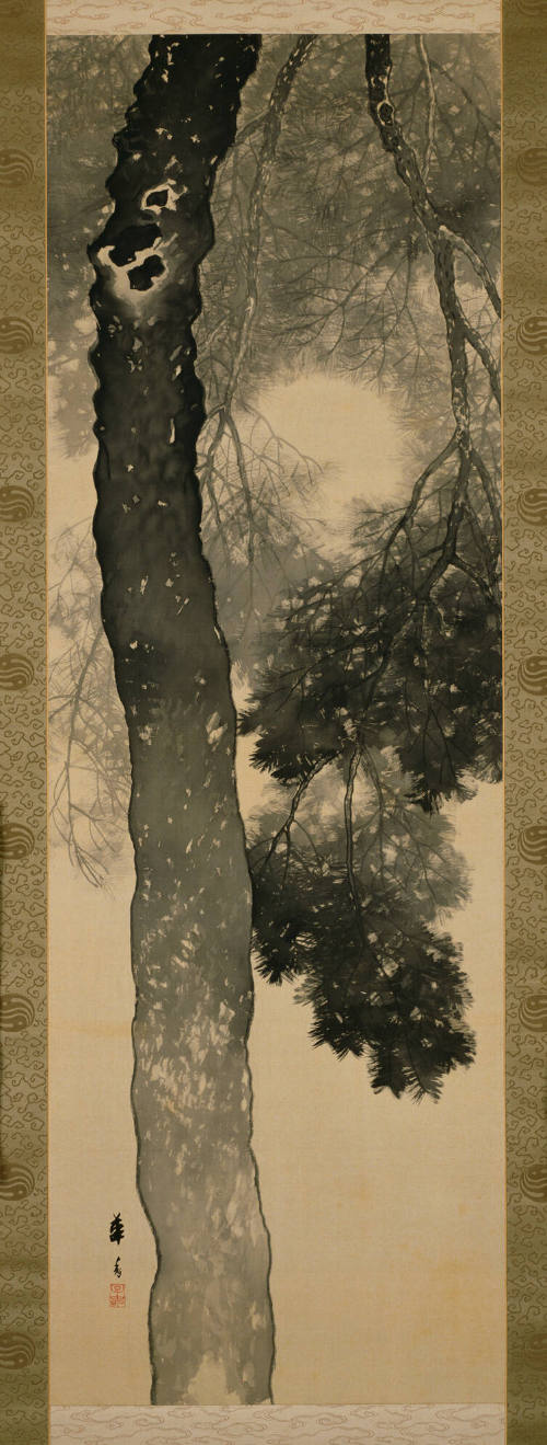 Hazy Moon through Pine Tree