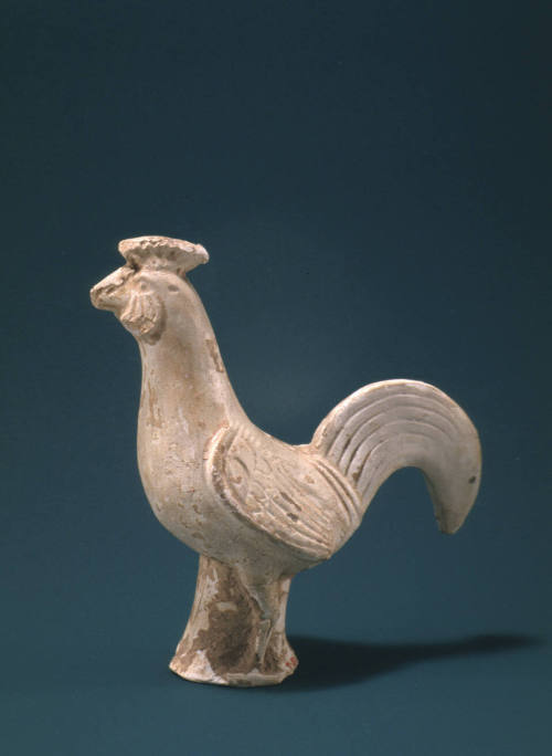 Rooster