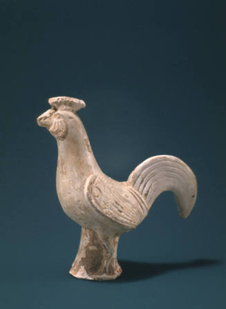Rooster