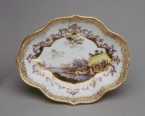 Dish