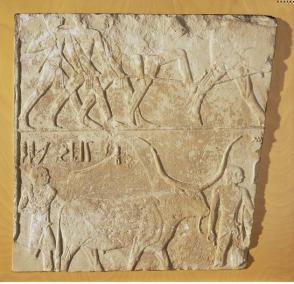 Relief with figures and Sacrificial bulls