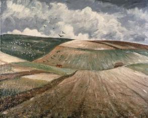 Birds Flying Over Salisbury Plain