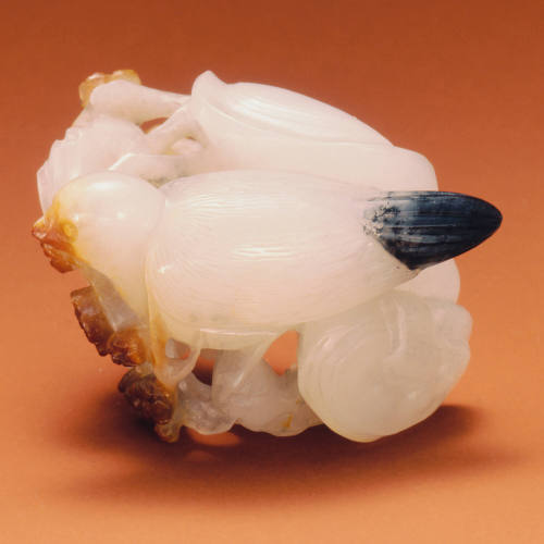 Bird, prunus, and fungi