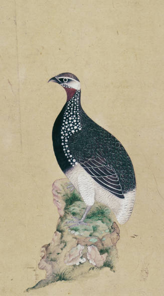 Game Bird; Hunting scene