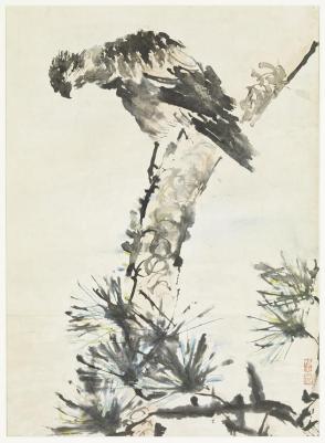 Eagle on a Branch
