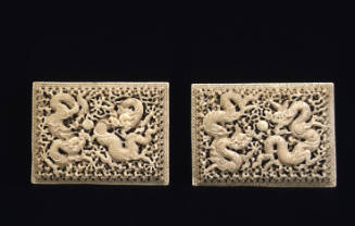 Dragon panels