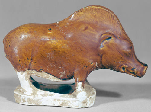 Boar