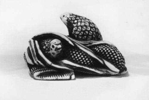Two Quail with Grain on Bamboo Mat