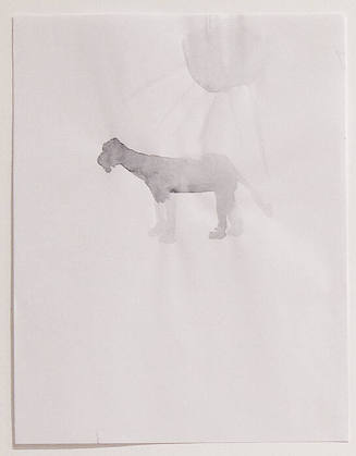 Photo: Nathaniel Willson