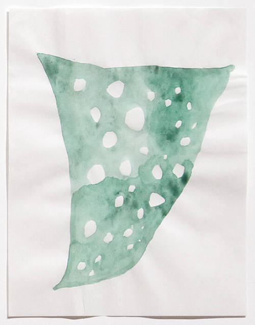 Photo: Nathaniel Willson