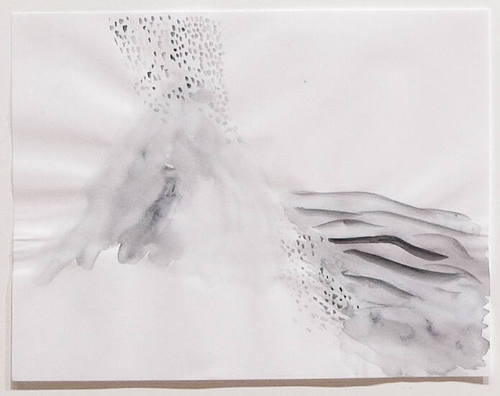 Photo: Nathaniel Willson