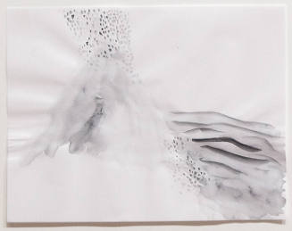 Photo: Nathaniel Willson