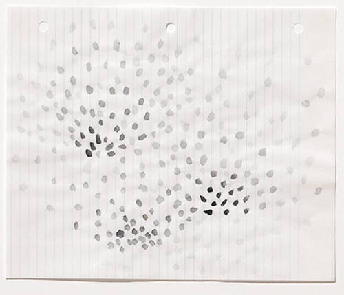 Photo: Nathaniel Willson