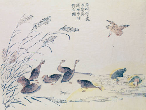 Photo: Elizabeth Mann