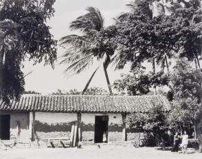 Surrounded by palm trees are adobe houses, with tile roofs and large airy rooms. Town of Espinal, from Amero Picture Book