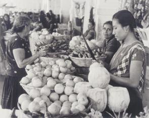 Inside the market, cocoanuts, oranges and bananas, from Amero Picture Book