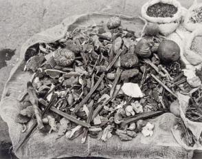 And countless herbs and spices, including some tools of witch-craft, from Amero Picture Book