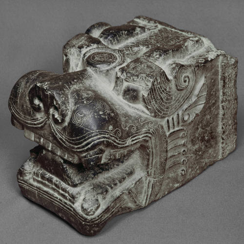Chimaera head